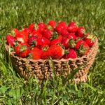 Шестиугольник — изображение 2