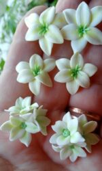 Серьги гвоздики (пусеты) — изображение 3