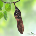 Подвеска Медное диво