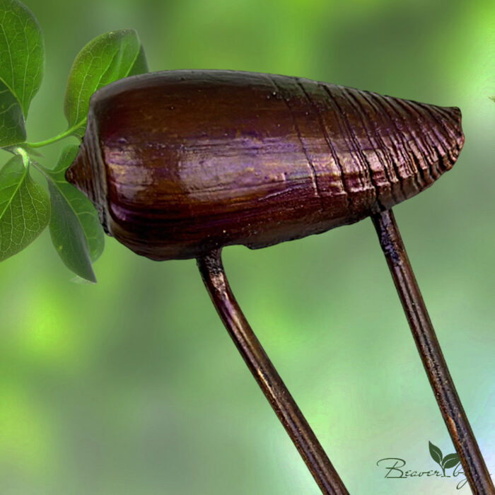 Шпилька Ракушка — изображение 2