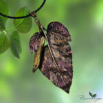 Подвеска Дурман