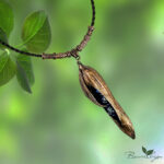 Подвеска Бутон дурмана — изображение 2