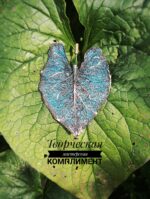 Брошь-игла Бруннера — изображение 2