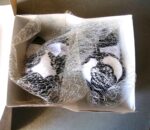 Атласные ёлочные шары — изображение 7