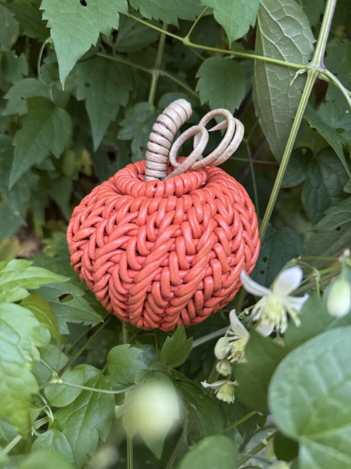 Тыковки — изображение 7