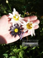 Кулон Ромашка — изображение 4