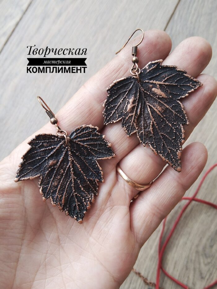 Комплект из черной смородины — изображение 5