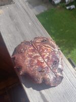 Тарелочка для украшений — изображение 4