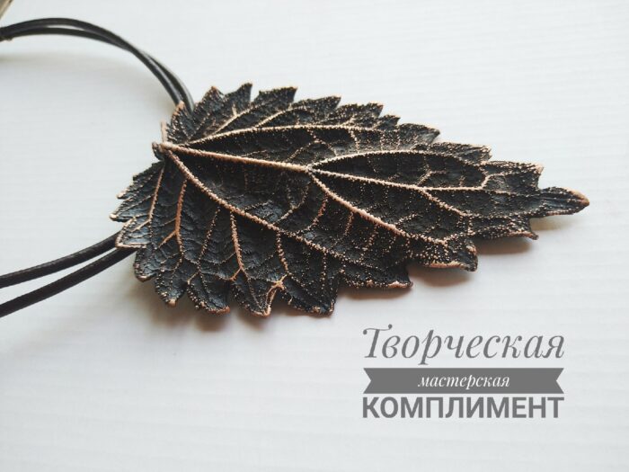 a9gxSwUFHgU Крапива — изображение 4