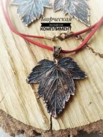 Комплект из черной смородины — изображение 2