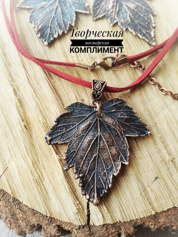 Комплект из черной смородины — изображение 2