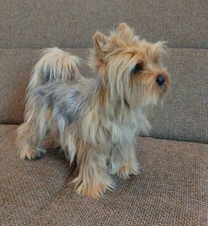 Йоркширский терьер — изображение 2