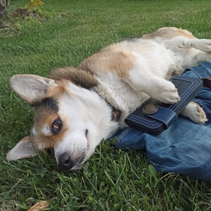 Услуга изготовление байкерских кошельков на заказ — изображение 8