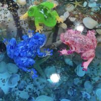 Сувенир лягушка из эпоксидной смолы .