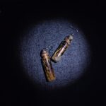 серьги склянки с интересным содержимым — изображение 10