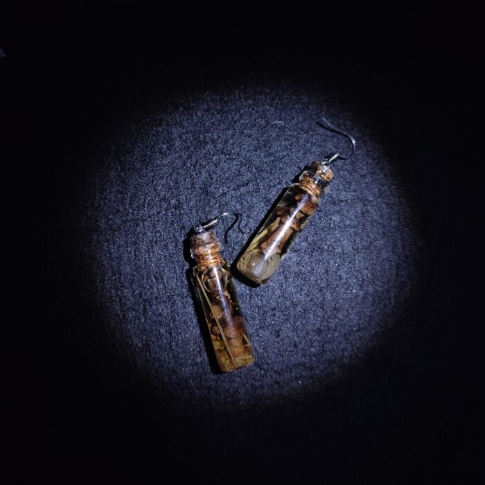 серьги склянки с интересным содержимым — изображение 10