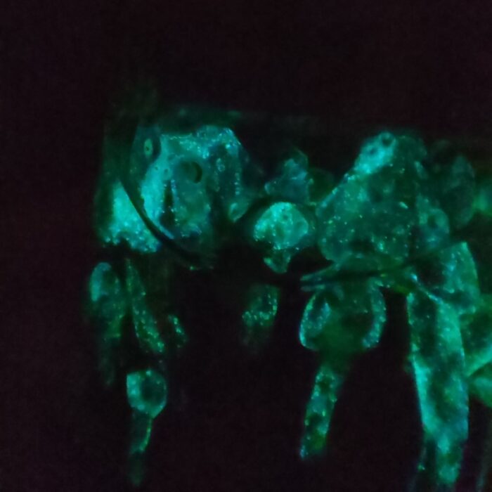 Брелок Склянка с чудесами — изображение 27