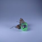 комплект серьги и кулон Яд — изображение 9