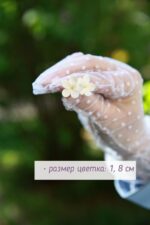 Гвоздики с сиренью — изображение 3