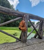 Рюкзак путешественника — изображение 2