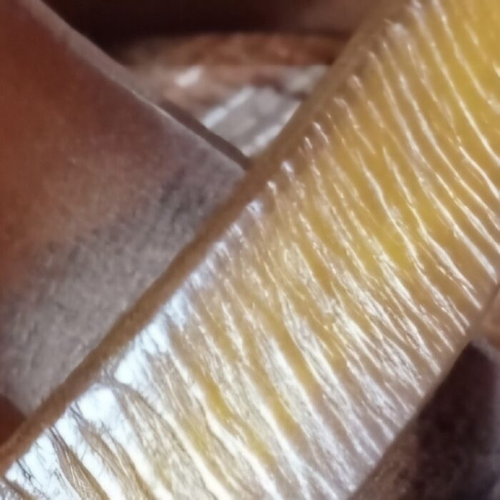 Винтажный женский ремень Полуденный зной — изображение 3