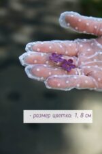 Гвоздики с сиренью — изображение 8