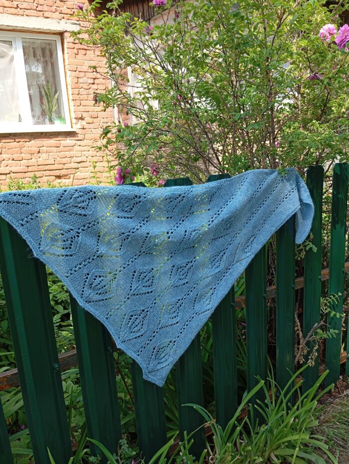 бактус ассиметричный — изображение 2