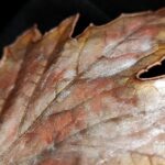 Заколка-автомат | "Капли Дождя" | — изображение 5