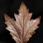 Брошь | "Застывшая красота" |