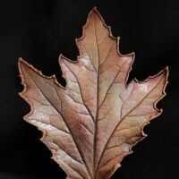 Брошь | "Застывшая красота" |