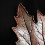 Брошь | "Застывшая красота" | — изображение 2