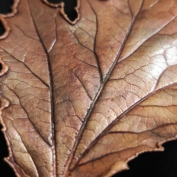 Брошь | "Застывшая красота" | — изображение 3