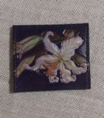 Обложки на паспорта, калхолдеры. — изображение 10