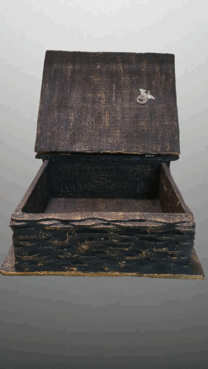 Книга Шкатулка Дневник Дракона — изображение 3