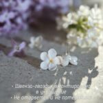 Серьги-гвоздики с пятилистной сиренью ручной работы из полимерной глины - это уникальное украшение, которое привлечет внимание своей красотой и оригинальностью.