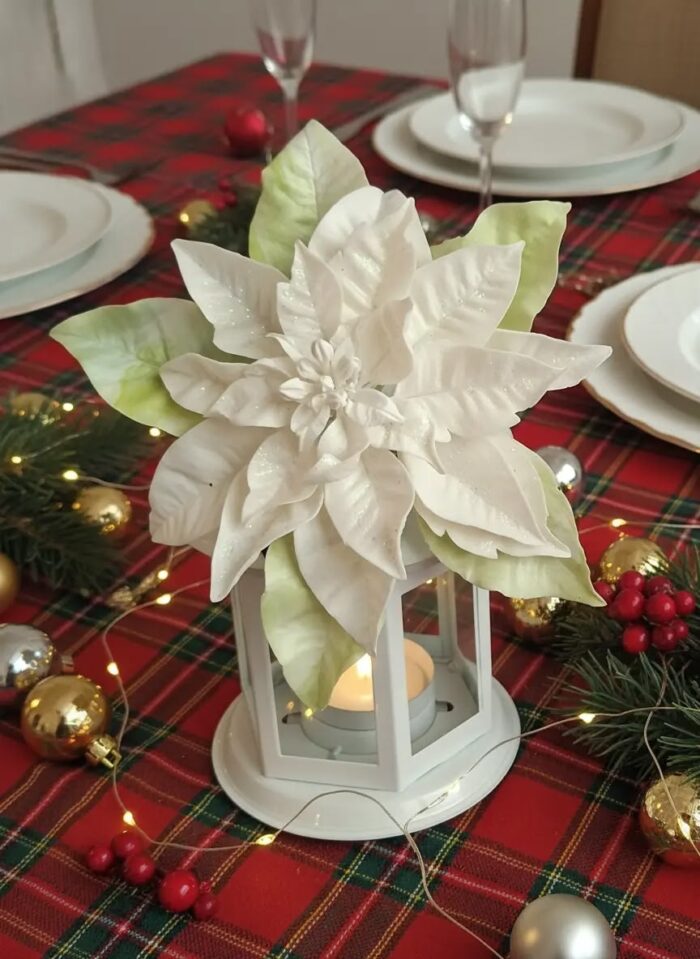 Пуансеттия — изображение 5