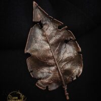 Брошь | " Орнамент природы" |