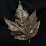 Брошь | "Тайный взор" |