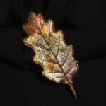 Изысканная брошь - лист благородного крымского черешчатого дуба — растения, которое встречается только в Крыму. Техника гальванопластика позволила с удивительной точностью передать мельчайшие детали: каждая прожилка листа словно ожила, превратившись в сложный, завораживающий узор.