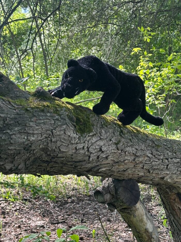 Плюшевая игрушка "Черная пантера" (на каркасе) — изображение 2