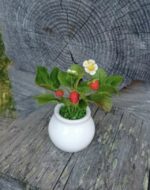 Лесная земляничка — изображение 6