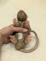 Мастер класс " Крыска" — изображение 3