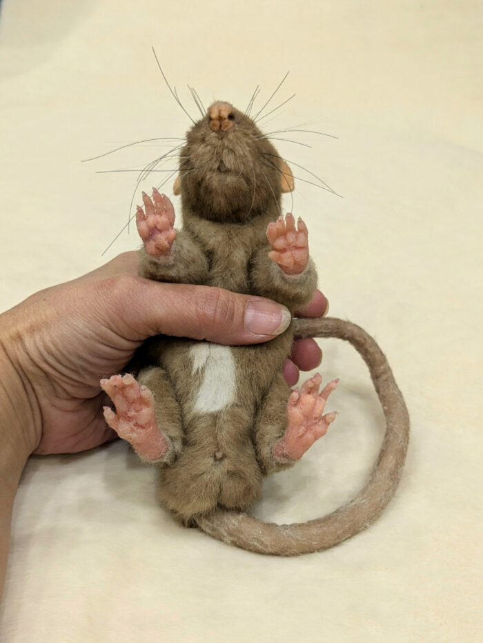 Мастер класс " Крыска" — изображение 3