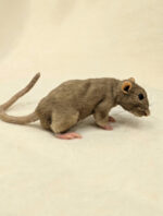 Мастер класс " Крыска" — изображение 5