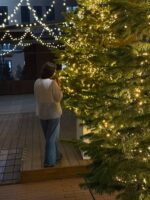 Паутинка — изображение 9