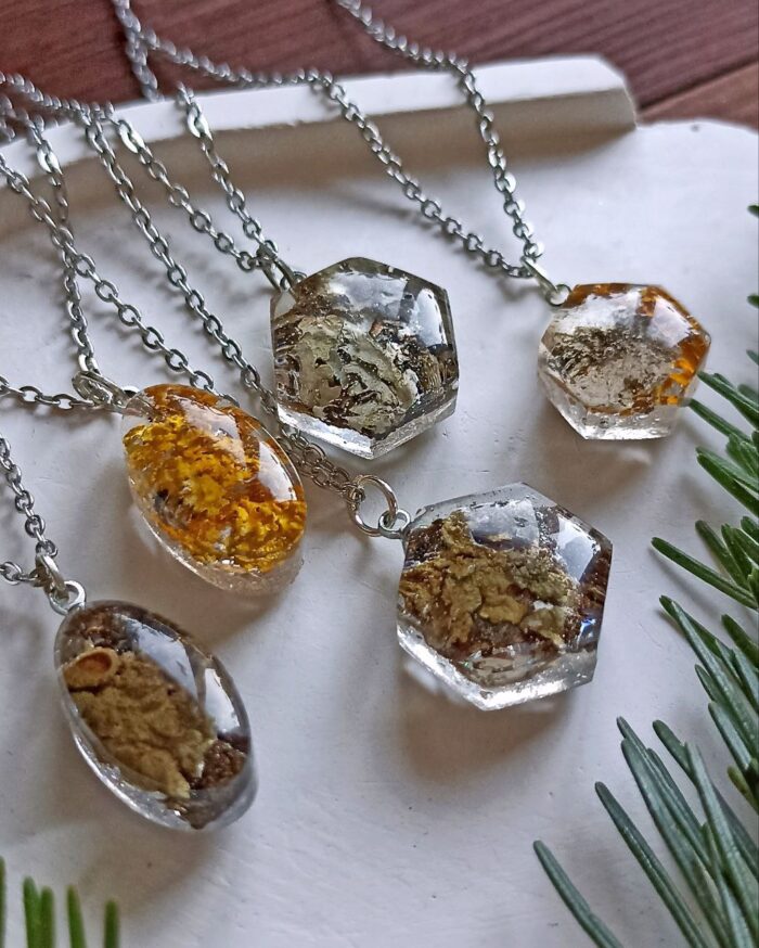 Кулоны с лишайниками — изображение 2