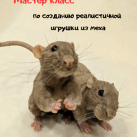 Мастер класс " Крыска"