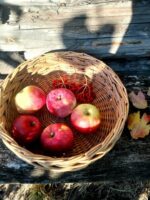 Плетеный поднос