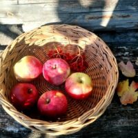 Плетеный поднос