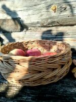 Плетеный поднос — изображение 3